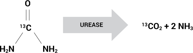 Illustration of the conversion process
